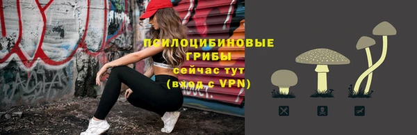таблы Гусиноозёрск